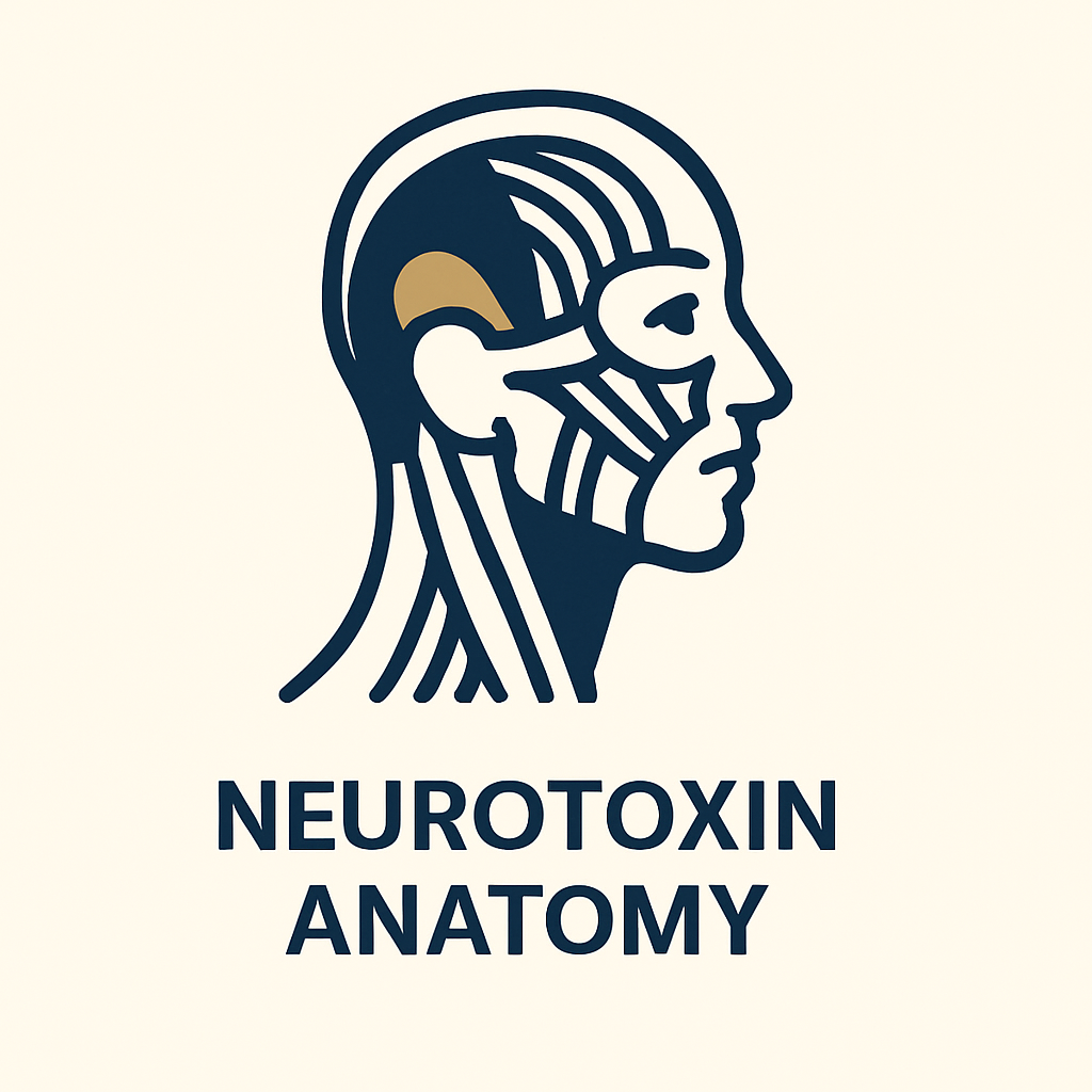 Neurotoxin Anatomy